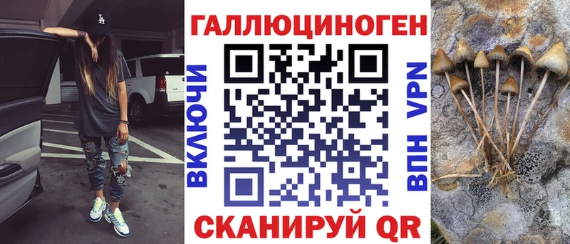 Псилоцибиновые грибы GOLDEN TEACHER  Урус-Мартан 